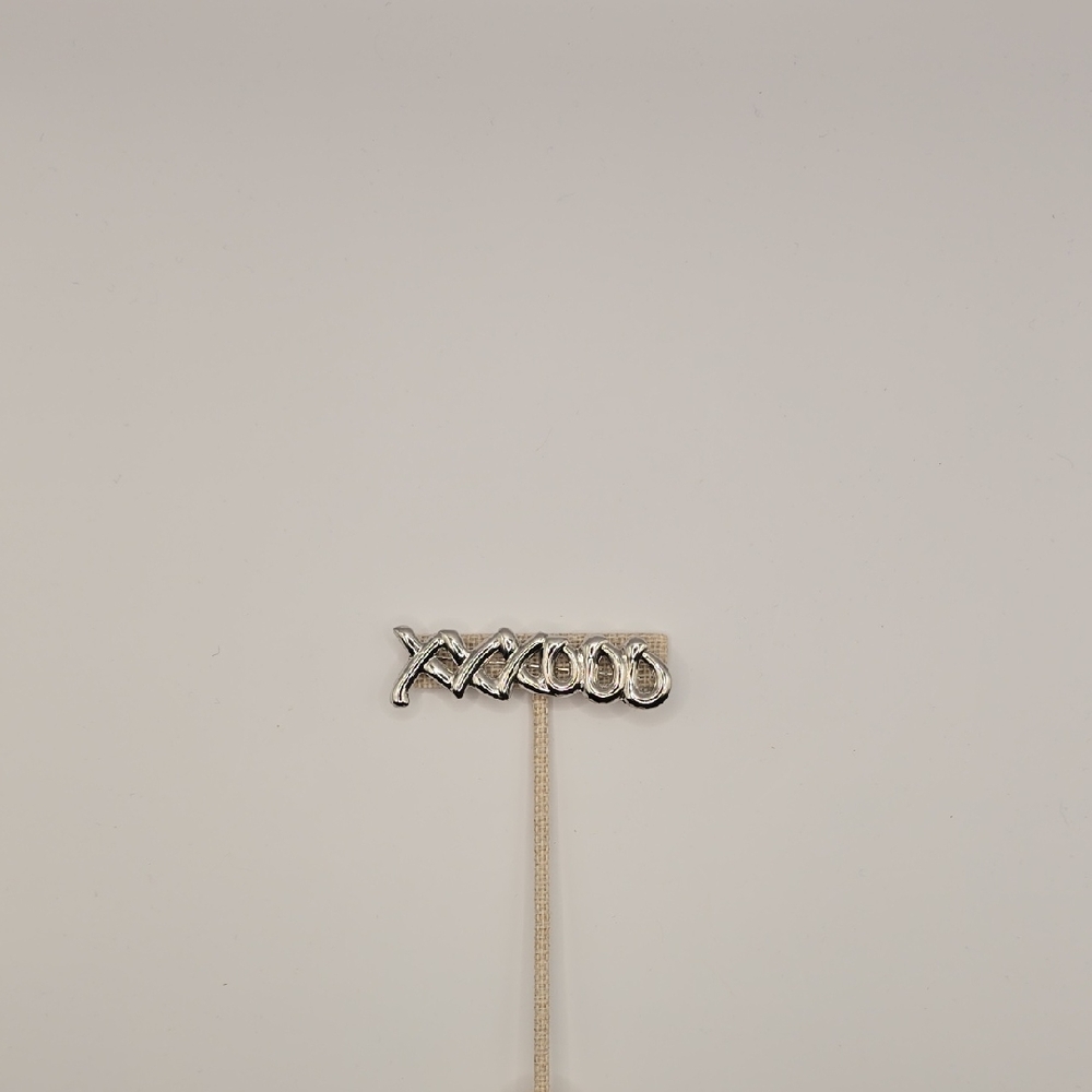 Silver XO Brooch